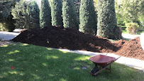 Gallery image 3 — hedge trimming Greenwood Village