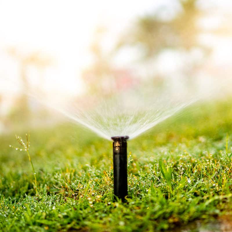 landscaping company Denver