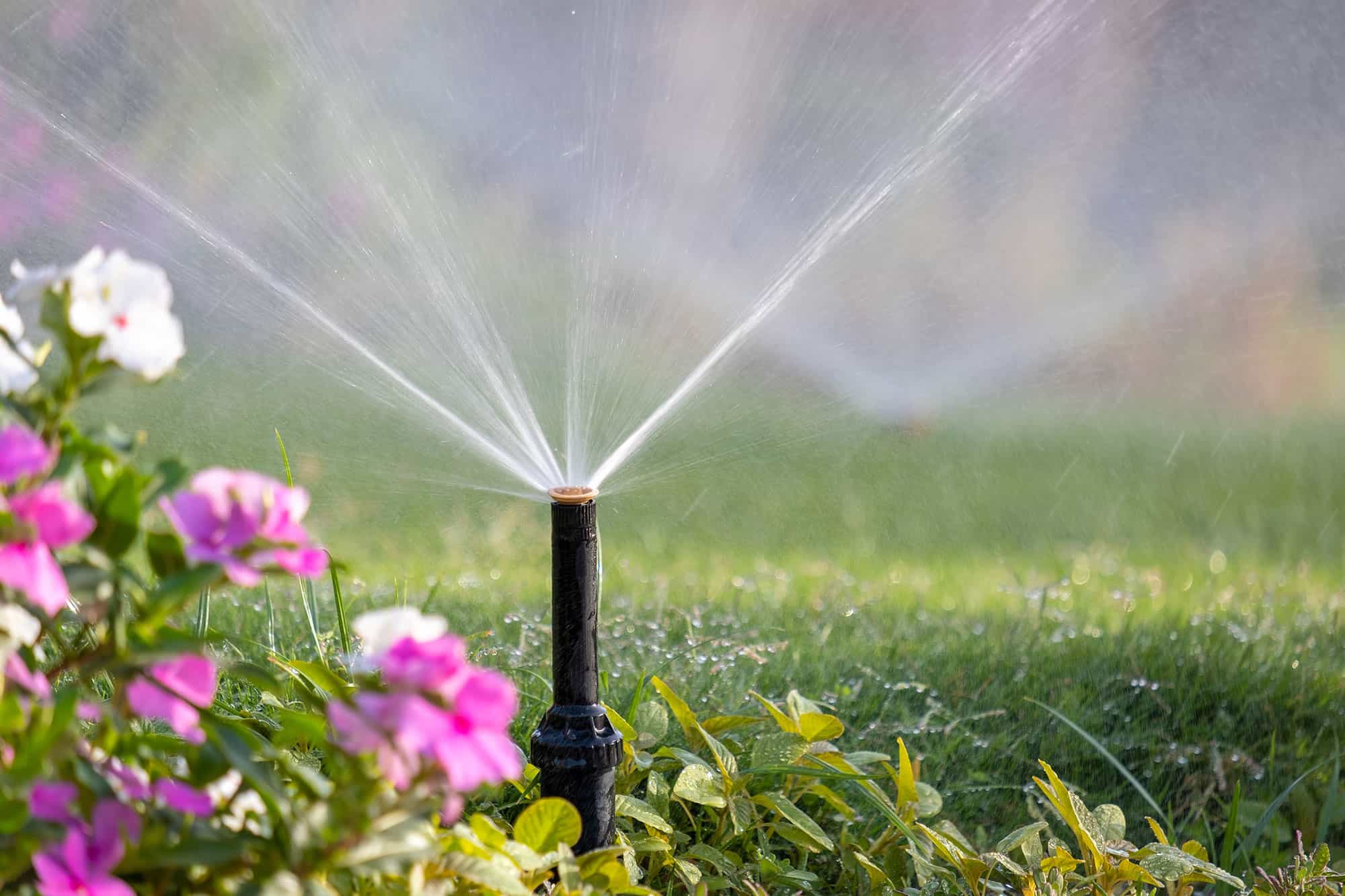 sprinkler winterization near me