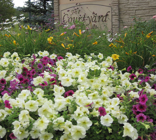 About front yard makeover Stonegate Gardens