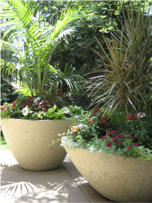 Gallery image 7 — front yard makeover Stonegate Gardens