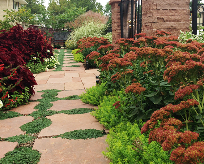 front yard makeover Stonegate Gardens