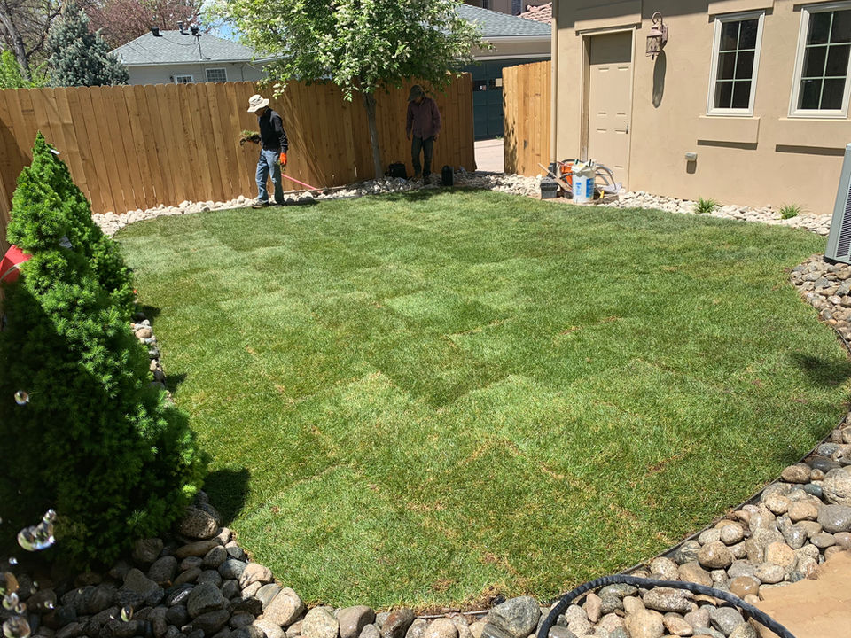 landscape designer in Cherry Creek