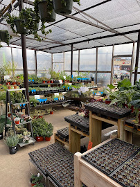 About best garden shop in Dallas