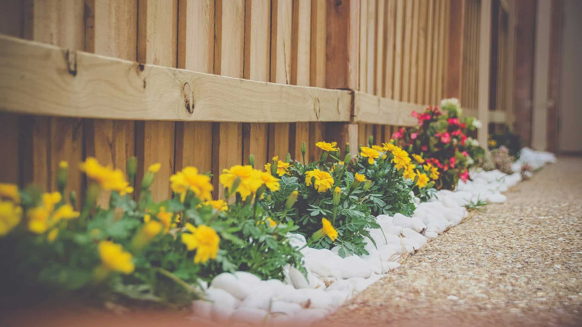 Gallery image 1 — best garden shop in Dallas