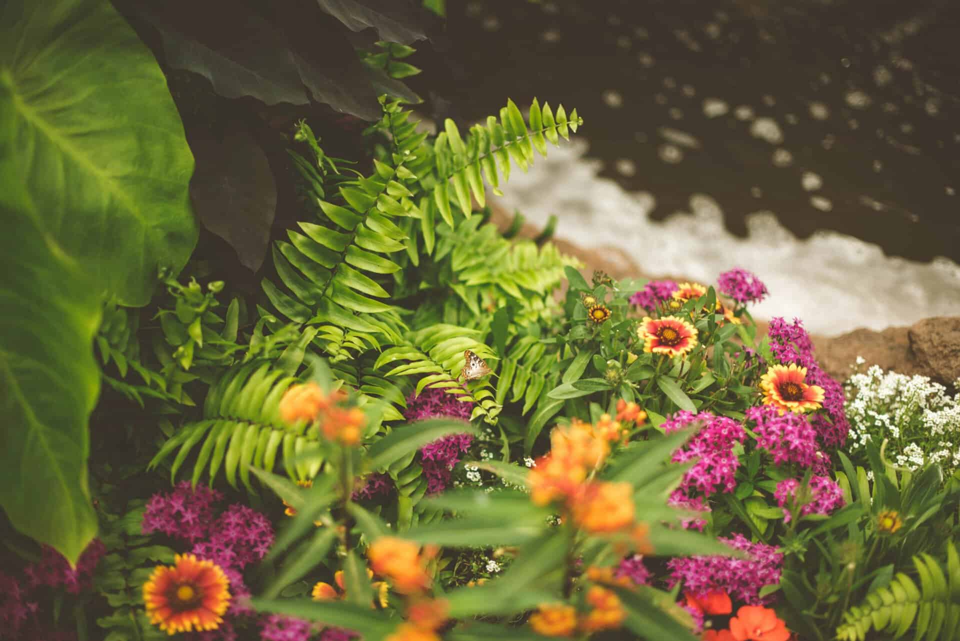 best garden shop in Dallas