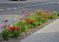 Gallery image 11 — commercial landscaping Denver