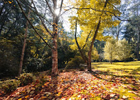 Gallery image 1 — commercial landscaping Denver