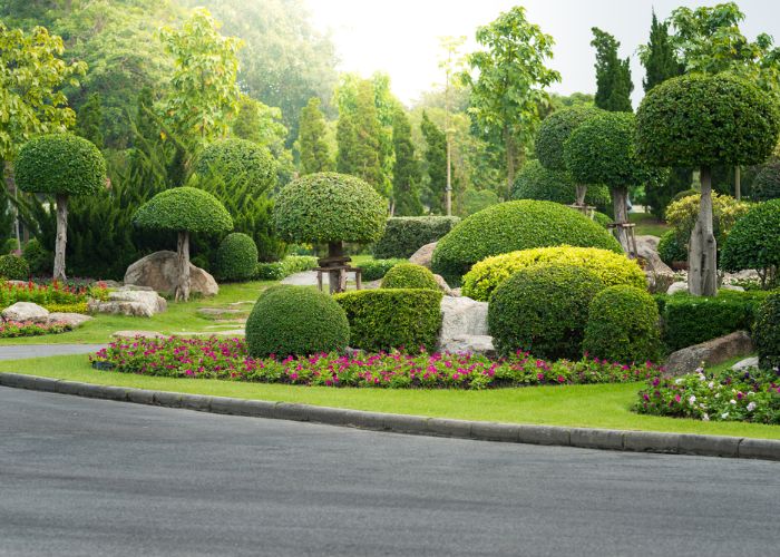 Gallery image 8 — commercial landscaping Denver