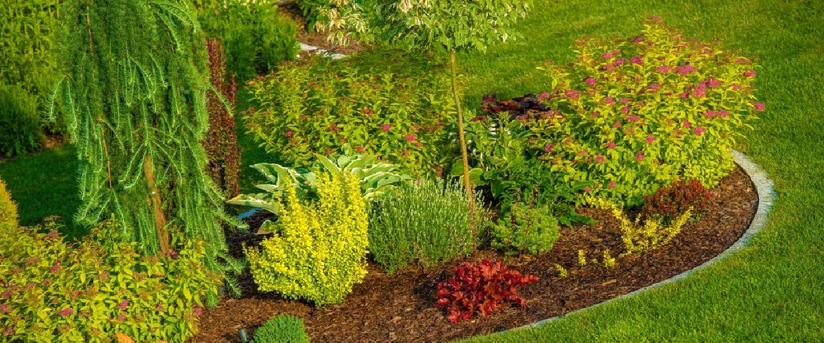commercial landscaping Denver