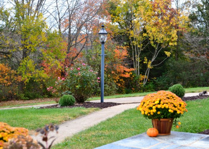 About commercial landscaping Denver