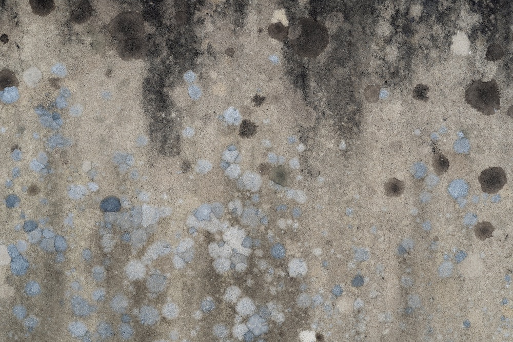 Gallery image 5 — foundation repair Staten Island