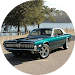 Gallery image 3 — best car detailer Tamiami