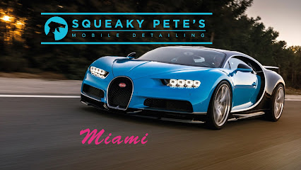 Gallery image 1 — best auto detailers in Doral