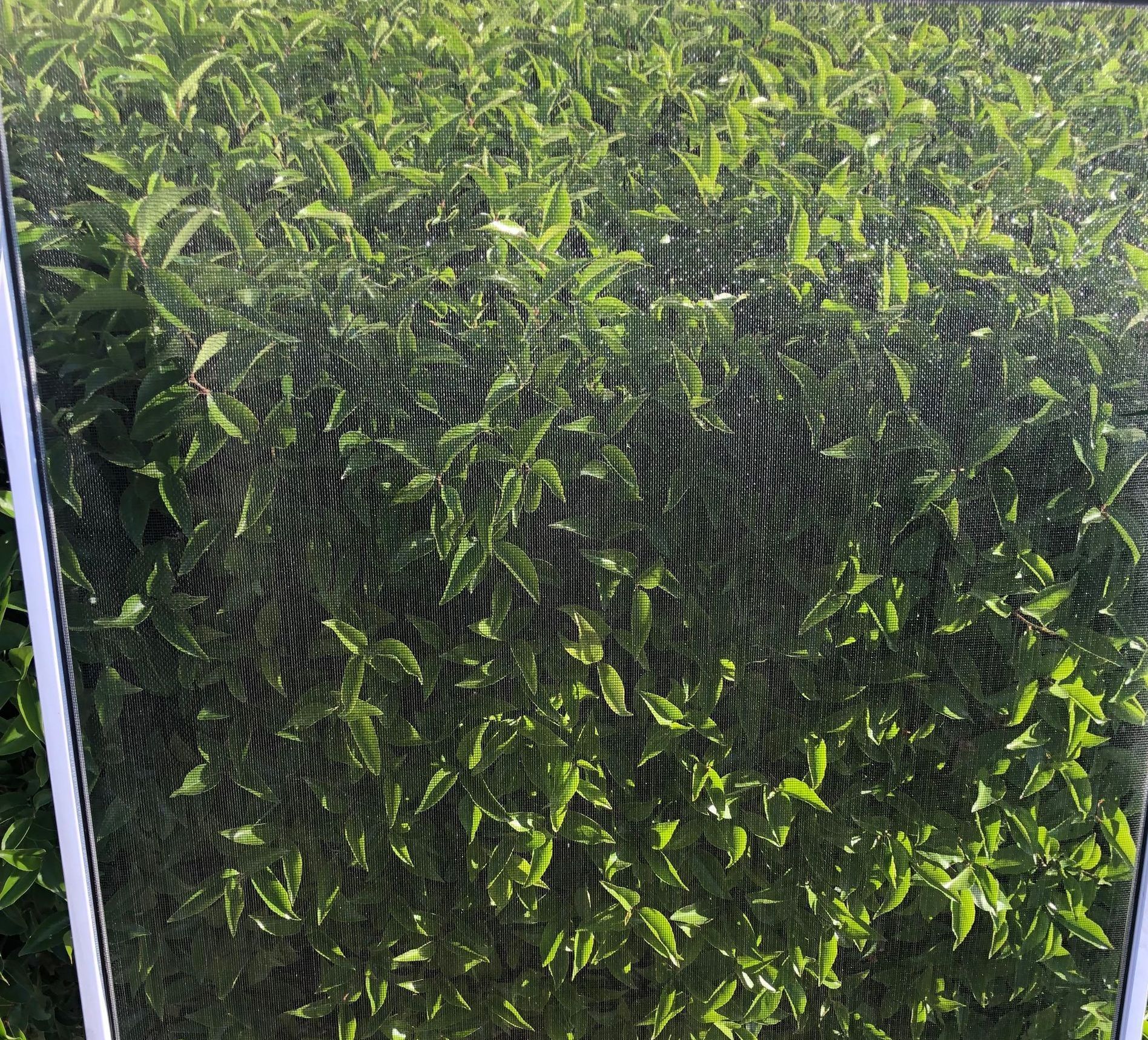 Gallery image 3 — window cleaning in Henderson
