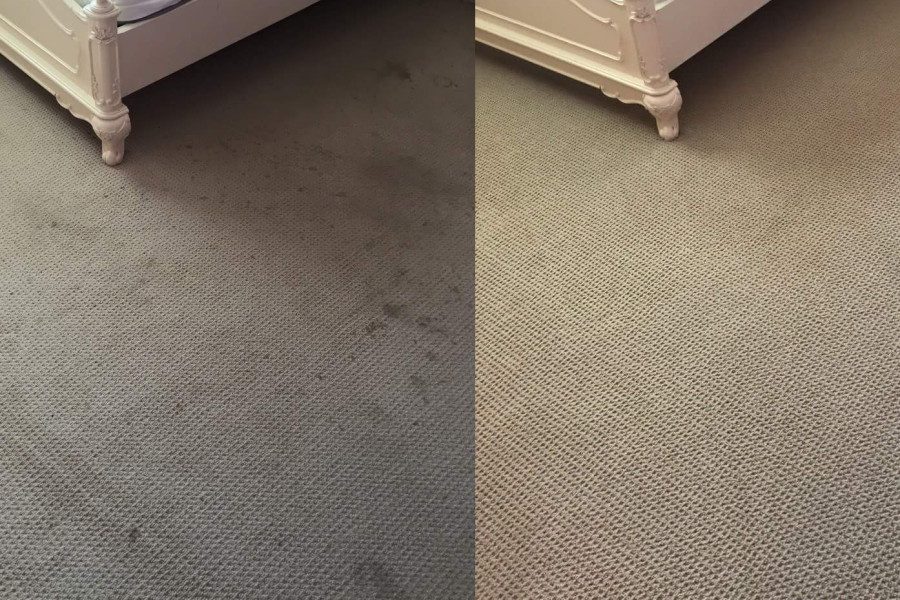 Gallery image 2 — area rug cleaning Los Angeles