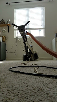 Gallery image 2 — best rug cleaning Los Angeles