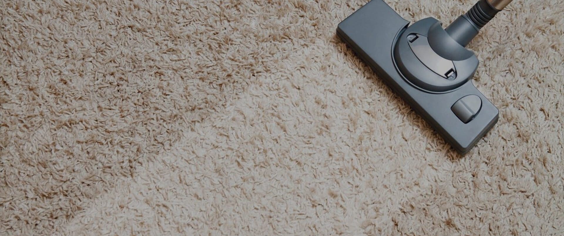 pet odor removal Los Angeles