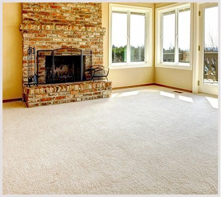 Gallery image 3 — pet odor removal Los Angeles