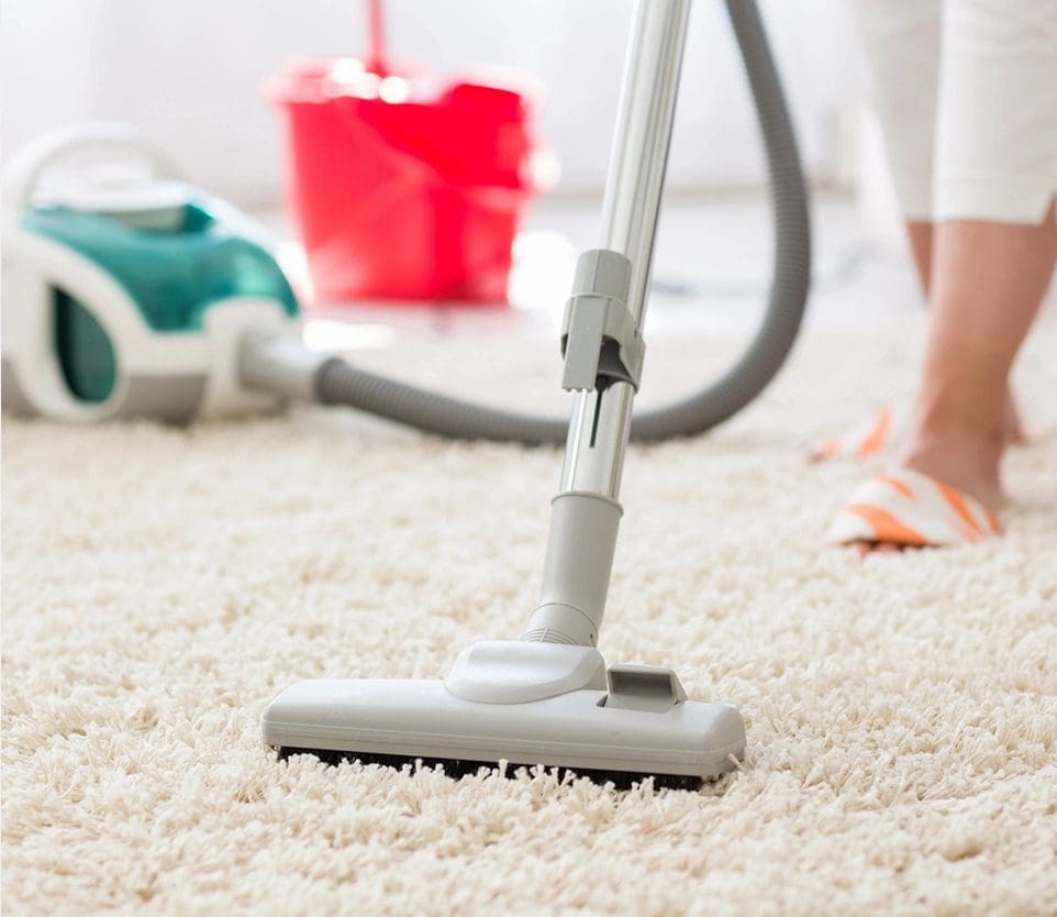 Gallery image 4 — pet odor removal Los Angeles