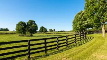 Gallery image 3 — wood fencing Land O'Lakes
