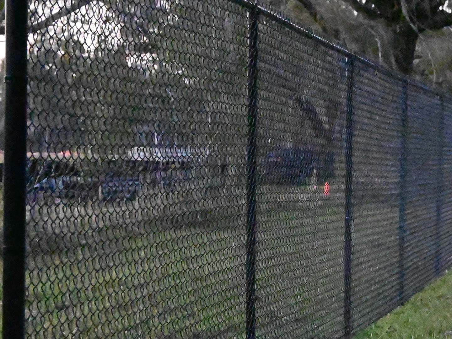 Gallery image 3 — fence replacement Tampa