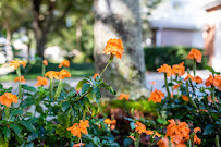 Gallery image 5 — landscape maintenance FL