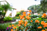 Gallery image 3 — landscape maintenance FL