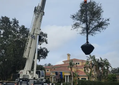 Gallery image 13 — landscape contractors near me