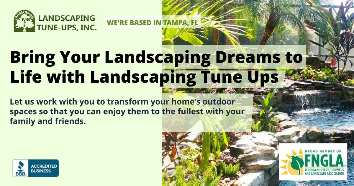landscape contractors near me