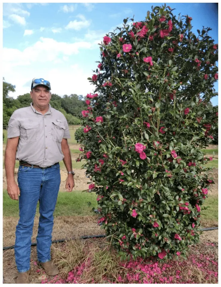 About landscape contractors near me