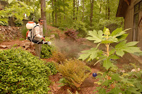 Gallery image 5 — The Mosquito Masters