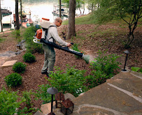 Gallery image 7 — The Mosquito Masters