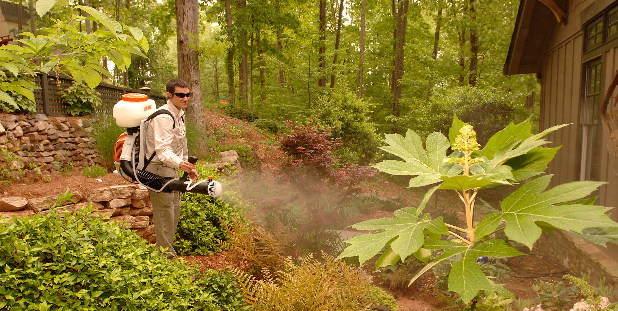 Gallery image 9 — The Mosquito Masters
