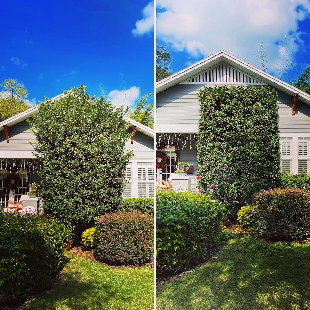 Gallery image 4 — fall clean up near me Wicked Weeds Propertycare