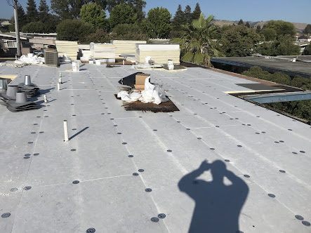 single ply roof membrane Bay Area