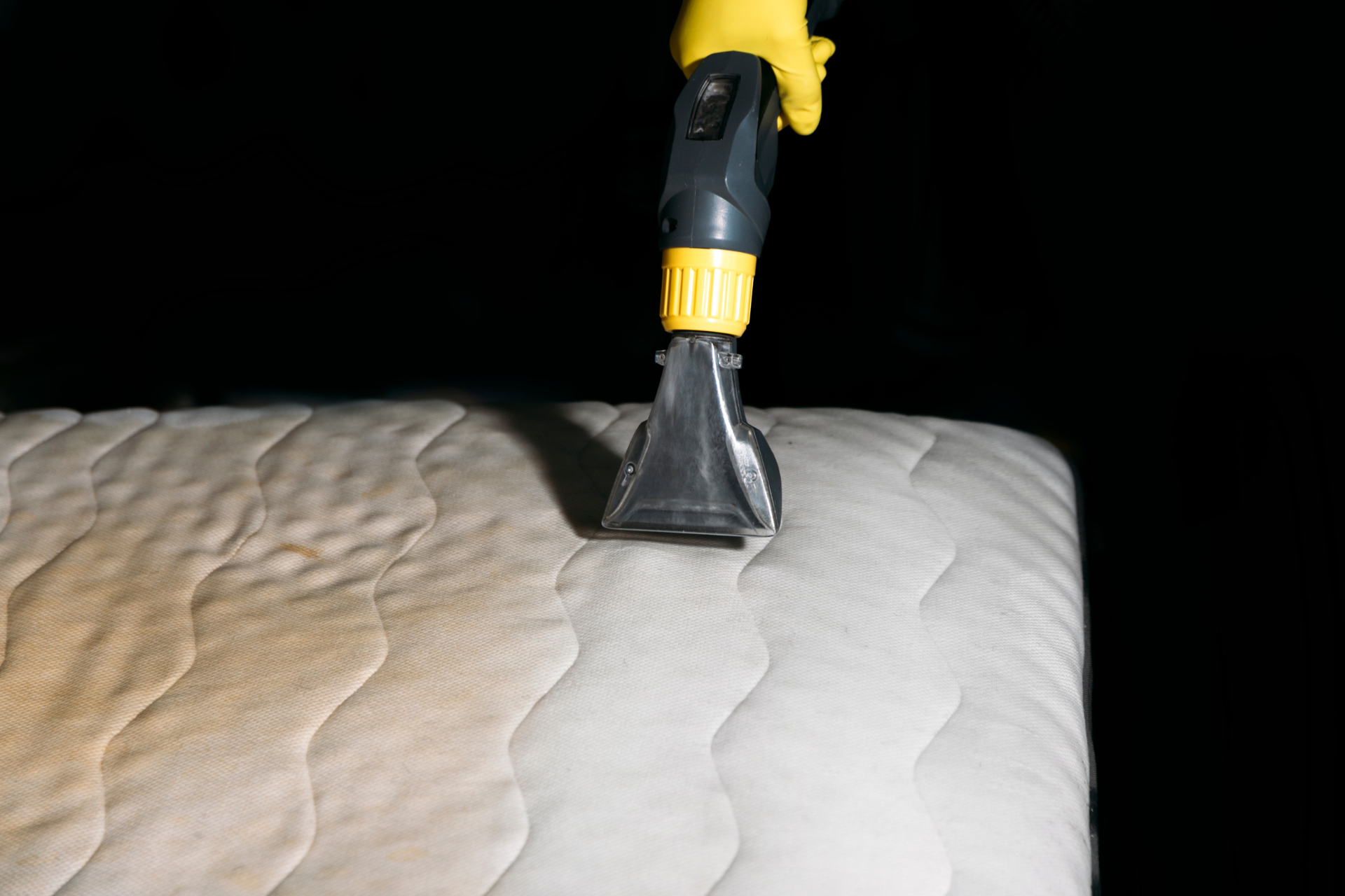 Gallery image 2 — professional furniture cleaning AAA Miami Steam Cleaner Corp