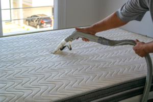 Gallery image 6 — professional furniture cleaning AAA Miami Steam Cleaner Corp