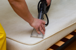 Gallery image 9 — professional furniture cleaning AAA Miami Steam Cleaner Corp