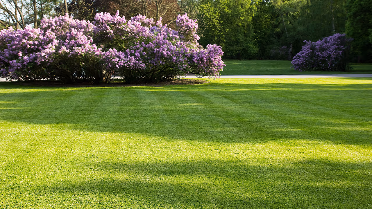 lawn mowing service Seminole Heights