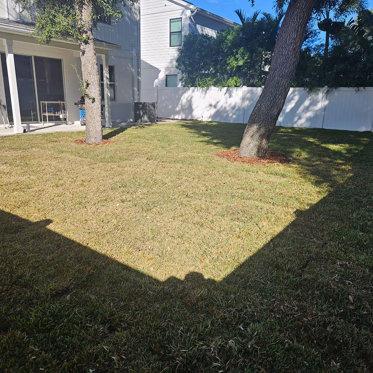 Gallery image 9 — tree trimming near me Tampa