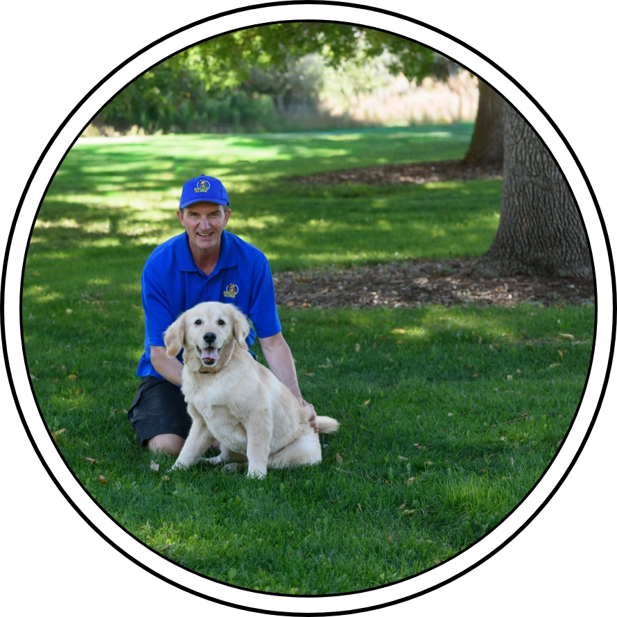 commercial dog waste service Denver