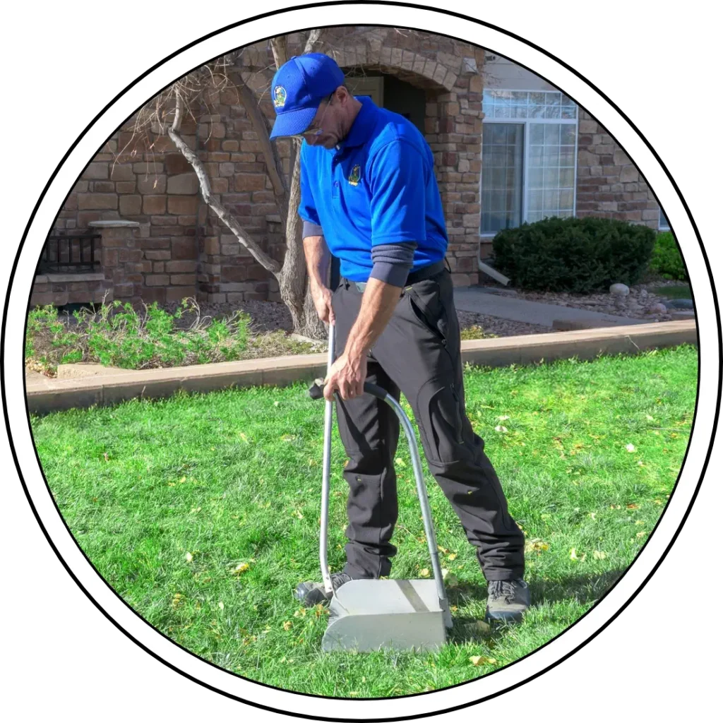 Gallery image 1 — dog waste removal near me