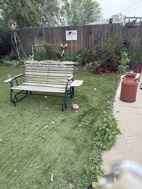 About dog waste removal near me