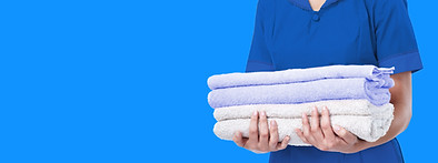 Gallery image 5 — deep steam cleaning %AREA%