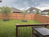 Gallery image 7 — fence staining service San Antonio