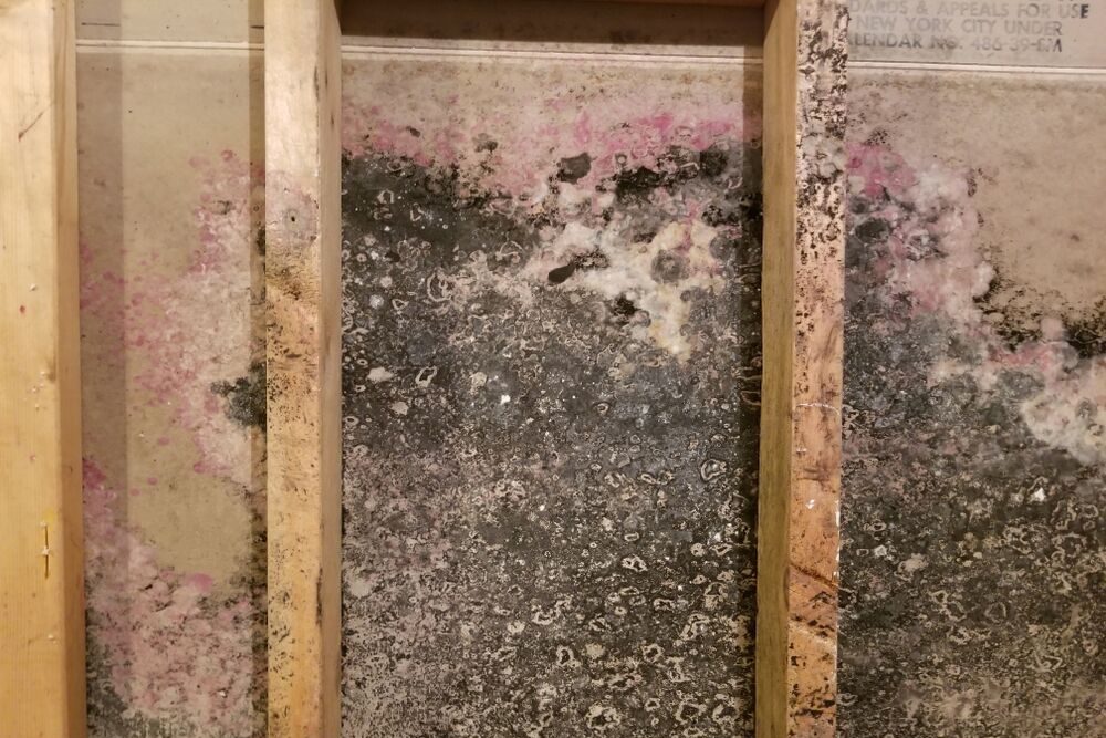 Gallery image 2 — Blackhill Restoration