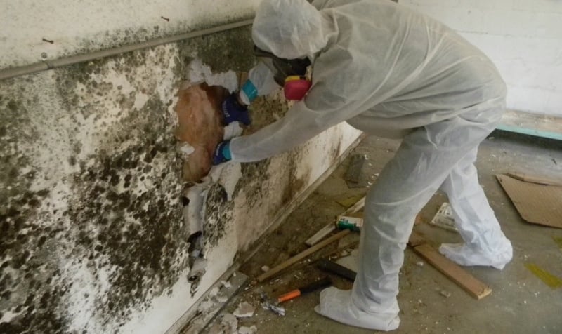 Gallery image 5 — Blackhill Restoration