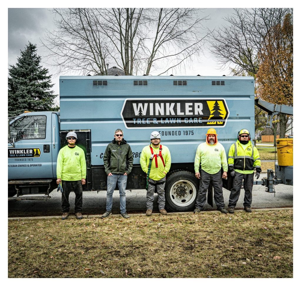 Gallery image 1 — tree health treatment Cook County