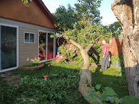 Gallery image 4 — affordable tree pruning near me